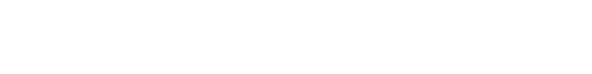 The Hotel Inspektor